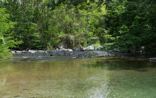 Trece años de conservación por el agua: Aliados por el Agua muestra resultados en la cuenca que abastece al Gran Santo Domingo