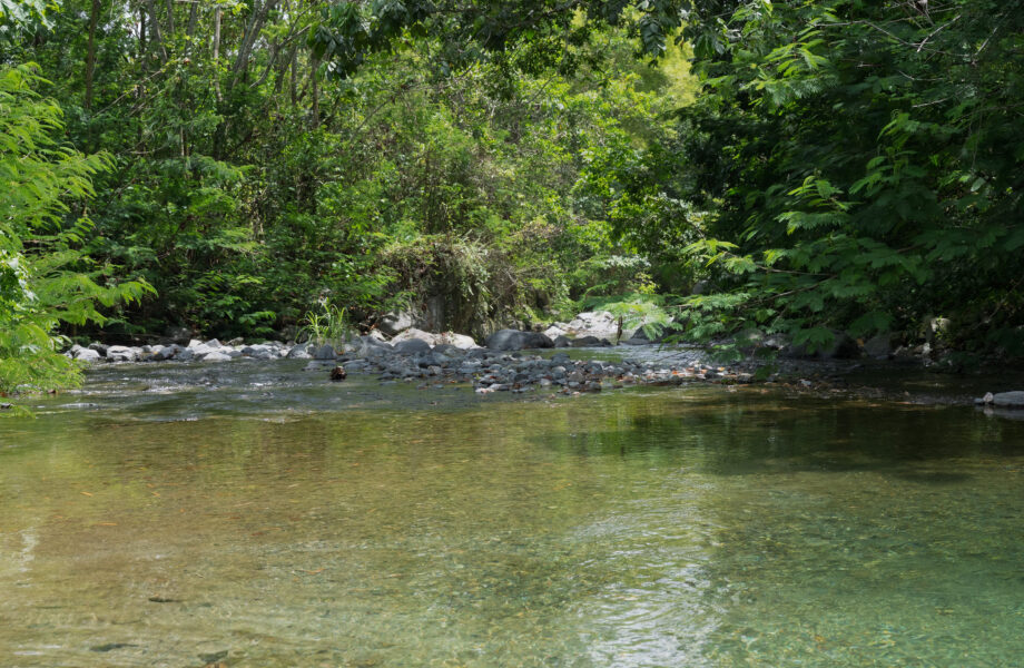 Trece años de conservación por el agua: Aliados por el Agua muestra resultados en la cuenca que abastece al Gran Santo Domingo