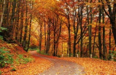 El equinoccio de otoño: ¿por qué varía la llegada del otoño?