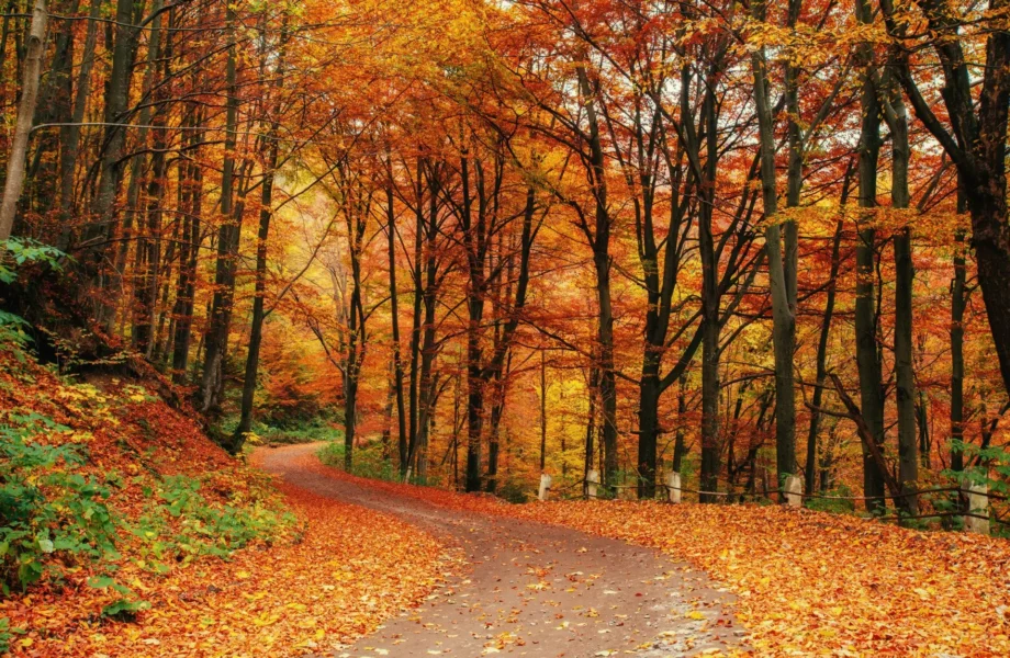 El equinoccio de otoño: ¿por qué varía la llegada del otoño?