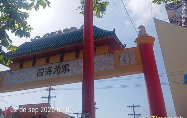 Rosa Ng denuncia vandalismo contra estatuas en el Barrio Chino y exige mayor seguridad