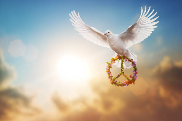 21 de Septiembre: Día Internacional de la Paz