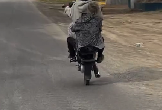 Captan a joven haciendo peligrosas maniobras en motocicleta junto a una adulta mayor