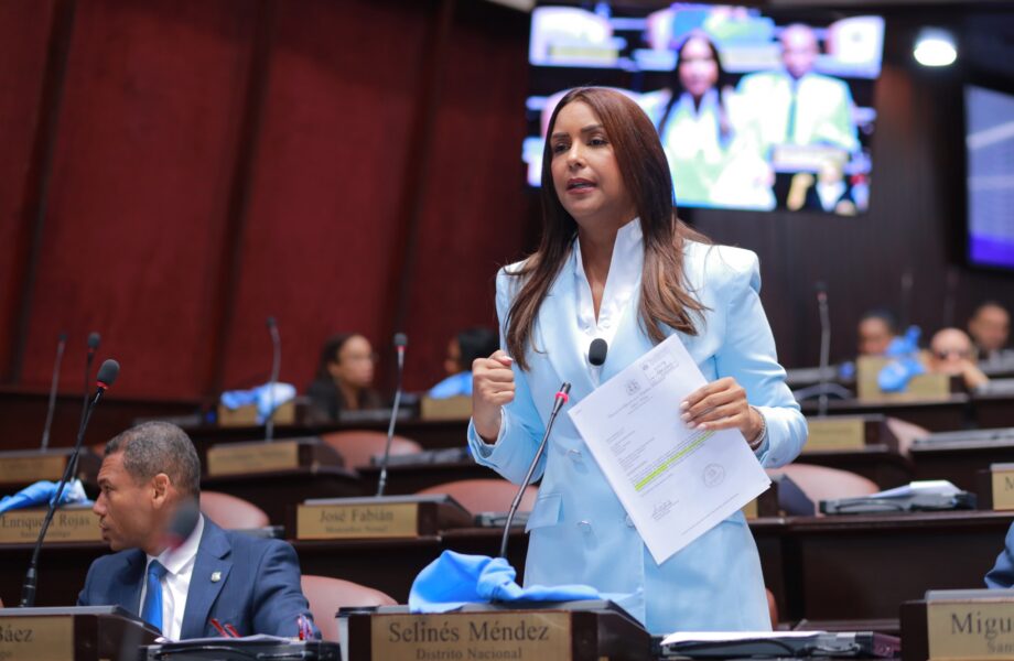 Selinée Méndez exige al MINERD informe sobre planteles pendientes y resultados de su plataforma digital