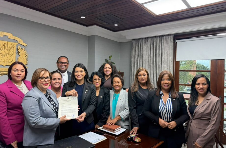 Más de 130 legisladores respaldan el depósito de la Ley Mirabal, parte de la Reforma Déjala Ir