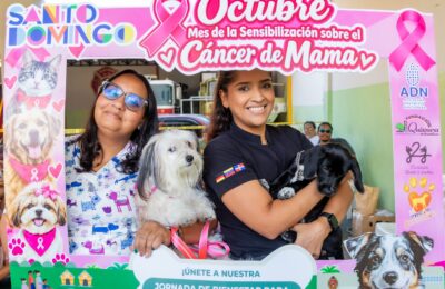 Alcaldía del Distrito Nacional esteriliza 107 perros y gatos en jornada de bienestar animal