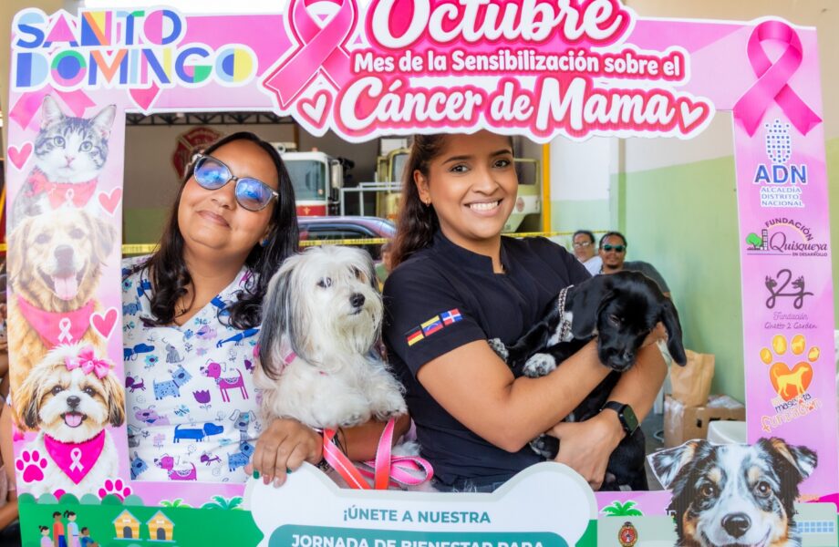 Alcaldía del Distrito Nacional esteriliza 107 perros y gatos en jornada de bienestar animal