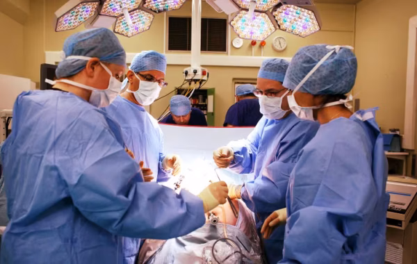 Red Pública de Salud amplía capacidad para atender casos complejos y realiza cirugías intrauterinas sin costo