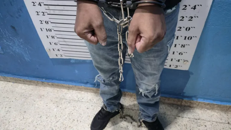 Extraditan a Estados Unidos dos dominicanos acusados de acoso cibernético y amenazas