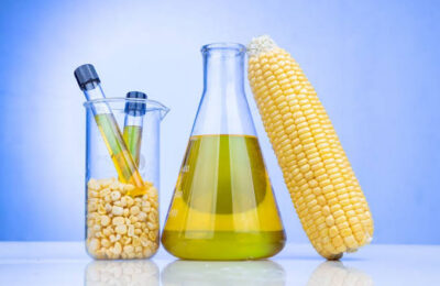 Aceites en la alimentación y el cuidado de la piel: beneficios y riesgos de su uso