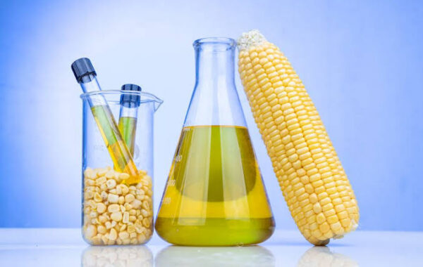 Aceites en la alimentación y el cuidado de la piel: beneficios y riesgos de su uso