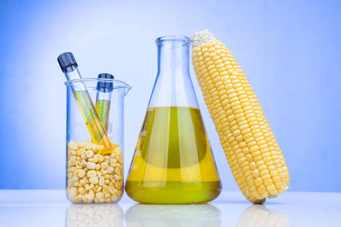Aceites en la alimentación y el cuidado de la piel: beneficios y riesgos de su uso