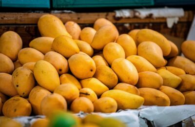Agricultura informa reanudación de exportaciones de mangos a EE.UU. será a partir del 2027