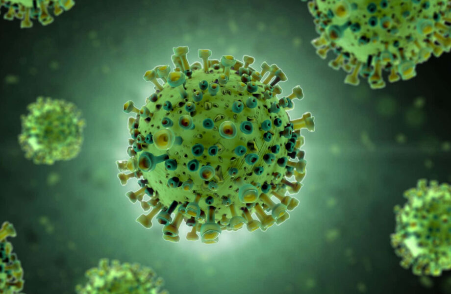 Salud Pública mantiene vigilancia preventiva ante investigación en Rusia por peste neumónica